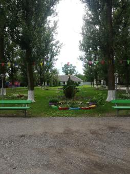центральная аллея